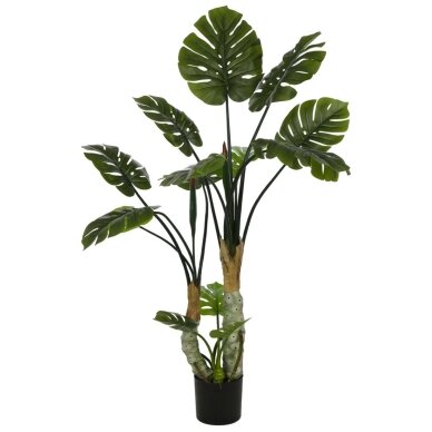 Dirbtinė daugiašakė monstera 160 cm 1 Dirbtinė daugiašakė monstera 160 cm 1