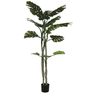 Dirbtinė daugiašakė monstera 180 cm Dirbtinė daugiašakė monstera 180 cm
