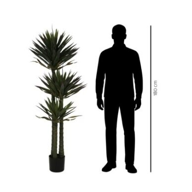 Dirbtinė juka 170 cm 3 Dirbtinė juka 170 cm 3