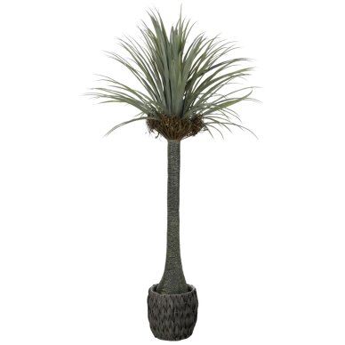 Dirbtinė juka 180 cm