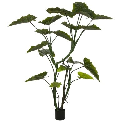 Dirbtinė kolokazija 160 cm 1