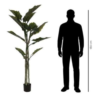 Dirbtinė kolokazija 190 cm 2