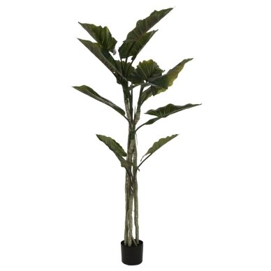 Dirbtinė kolokazija 190 cm 1 Dirbtinė kolokazija 190 cm 1