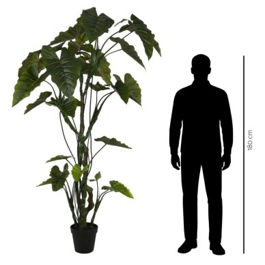 Dirbtinė kolokazija 220 cm 3 Dirbtinė kolokazija 220 cm 3