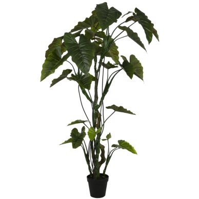 Dirbtinė kolokazija 220 cm 1