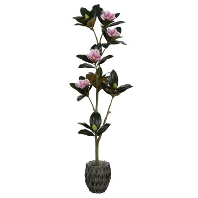 Dirbtinė magnolija 135 cm 1