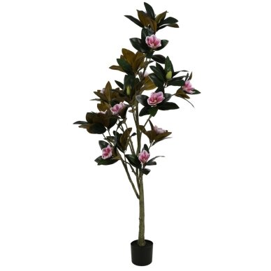 Dirbtinė magnolija 180 cm 1