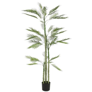 Dirbtinė palmė 200 cm 1 Dirbtinė palmė 200 cm 1