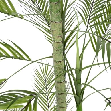 Dirbtinė palmė 200 cm 2 Dirbtinė palmė 200 cm 2