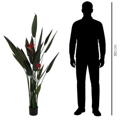 Dirbtinė strelicija ‘Rojų paukštis’ 160 cm 2