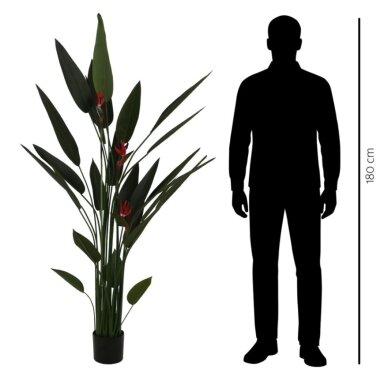 Dirbtinė strelicija ‘Rojų paukštis’ 180 cm 2