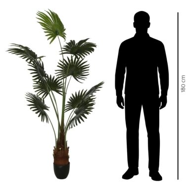 Dirbtinė vėduoklinė palmė 180 cm 2 Dirbtinė vėduoklinė palmė 180 cm 2