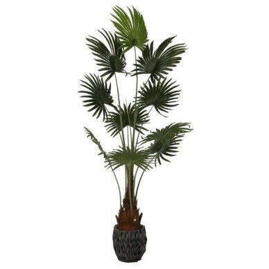Dirbtinė vėduoklinė palmė 180 cm Dirbtinė vėduoklinė palmė 180 cm