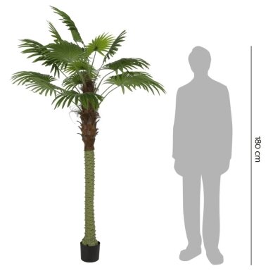 Dirbtinė vėduoklinė palmė 200 cm 3