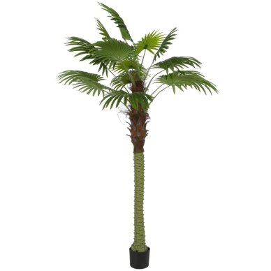Dirbtinė vėduoklinė palmė 200 cm 1 Dirbtinė vėduoklinė palmė 200 cm 1