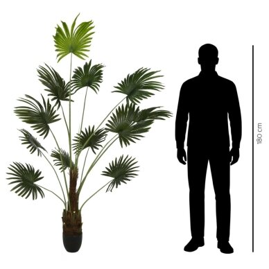 Dirbtinė vėduoklinė palmė 200 cm 2