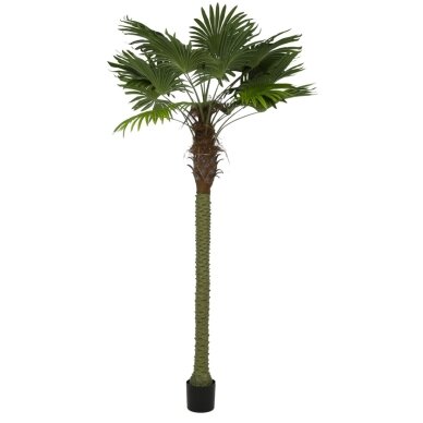 Dirbtinė vėduoklinė palmė 250 cm 1 Dirbtinė vėduoklinė palmė 250 cm 1