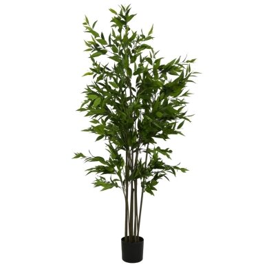 Dirbtinis eukaliptas 230 cm 1 Dirbtinis eukaliptas 230 cm 1