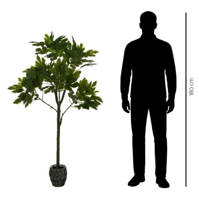 Dirbtinis fikusas 160 cm 2