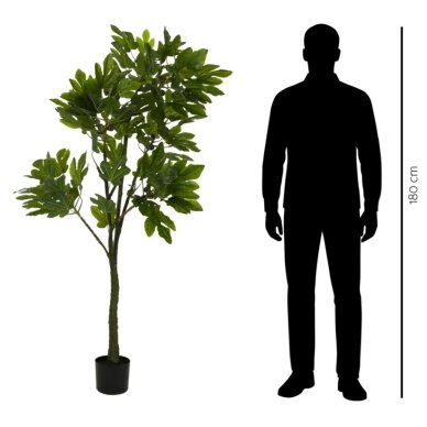 Dirbtinis fikusas 180 cm 3