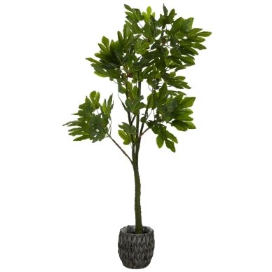 Dirbtinis fikusas 180 cm Dirbtinis fikusas 180 cm