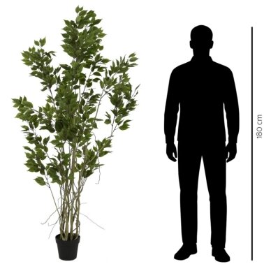 Dirbtinis fikusas 190 cm 2 Dirbtinis fikusas 190 cm 2