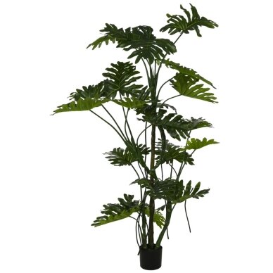 Dirbtinis filodendras 180 cm 1 Dirbtinis filodendras 180 cm 1