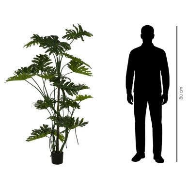 Dirbtinis filodendras 180 cm 3 Dirbtinis filodendras 180 cm 3