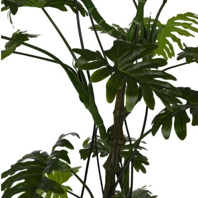 Dirbtinis filodendras 210 cm 2