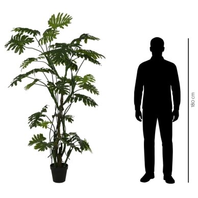 Dirbtinis filodendras 210 cm 3