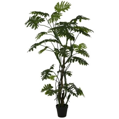 Dirbtinis filodendras 210 cm 1