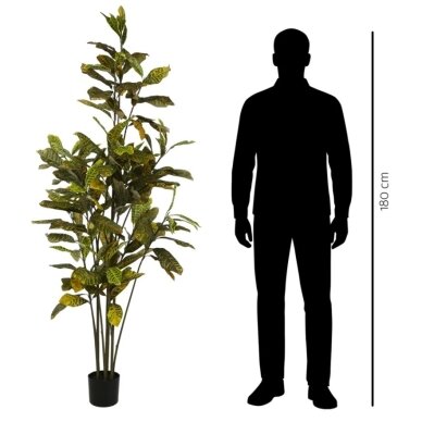 Dirbtinis krotonas 190 cm 3