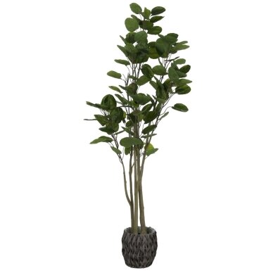 Dirbtinis laimės medelis 160 cm Dirbtinis laimės medelis 160 cm