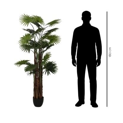 Dirbtinė vėduoklinė palmė 170 cm 2