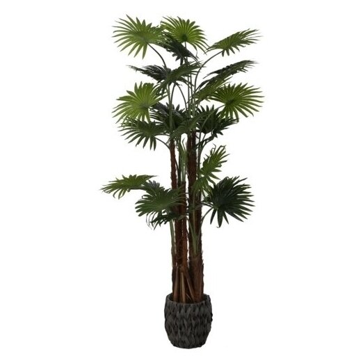 Dirbtinė vėduoklinė palmė 170 cm