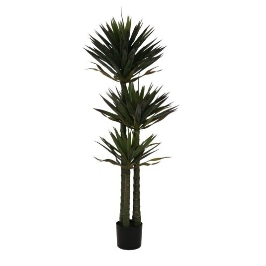 Dirbtinė juka 170 cm 1