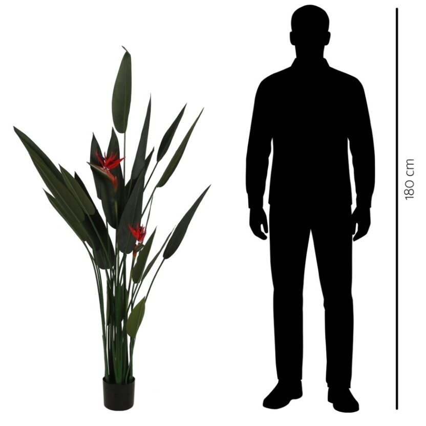 Dirbtinė strelicija ‘Rojų paukštis’ 160 cm 2 Dirbtinė strelicija ‘Rojų paukštis’ 160 cm 2