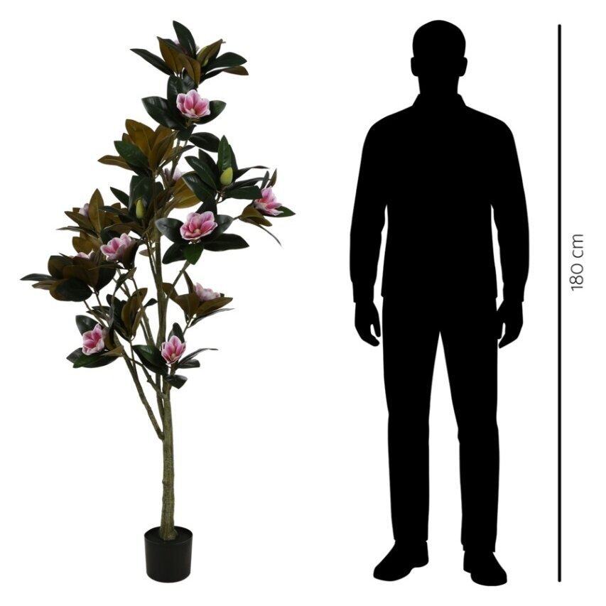 Dirbtinė magnolija 180 cm 2 Dirbtinė magnolija 180 cm 2