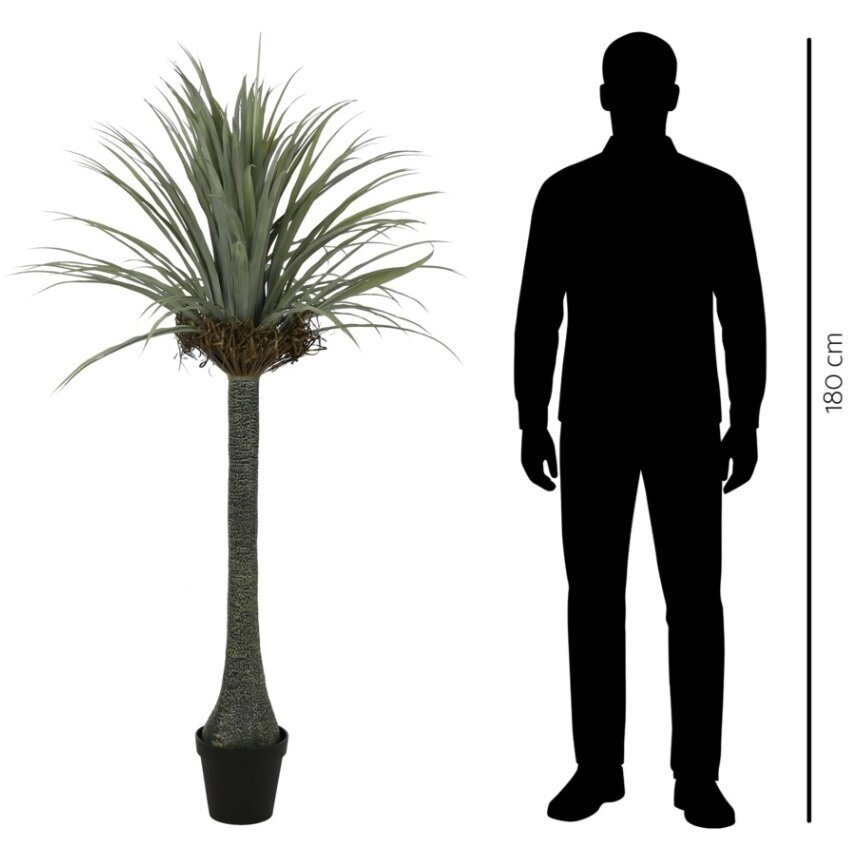 Dirbtinė juka 180 cm 3