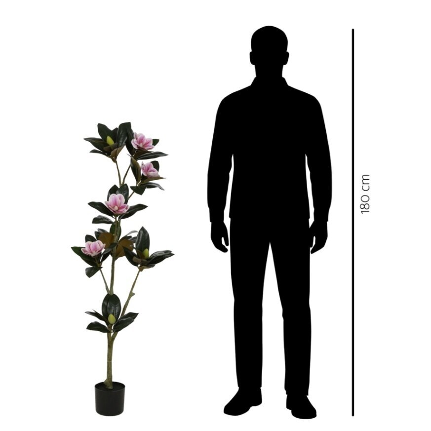 Dirbtinė magnolija 135 cm 2 Dirbtinė magnolija 135 cm 2