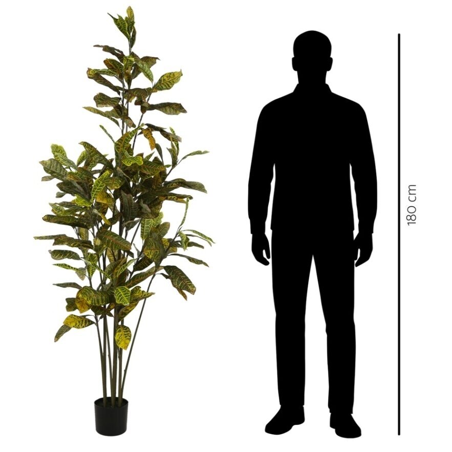 Dirbtinis krotonas 190 cm 3 Dirbtinis krotonas 190 cm 3