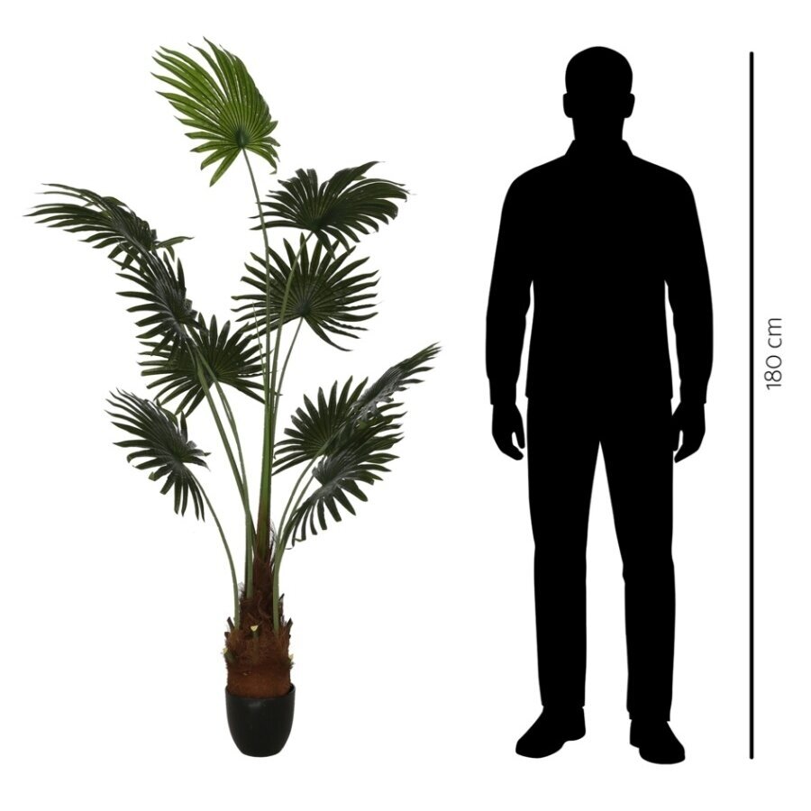 Dirbtinė vėduoklinė palmė 180 cm 2