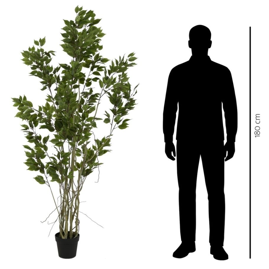 Dirbtinis fikusas 190 cm 2 Dirbtinis fikusas 190 cm 2