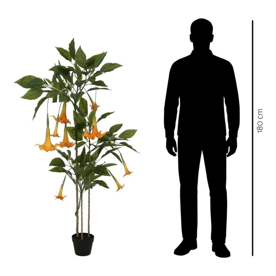 Dirbtinė datūra 160 cm 2 Dirbtinė datūra 160 cm 2