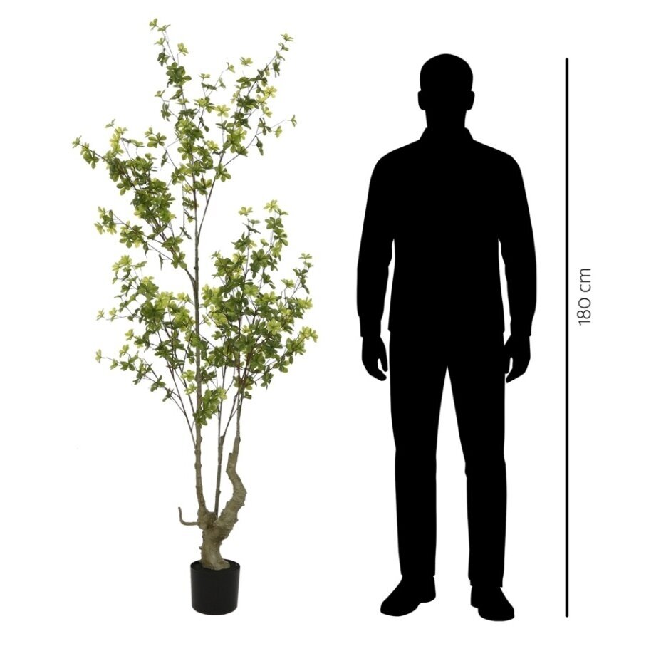 Dirbtinė chlorofitė 190 cm 2 Dirbtinė chlorofitė 190 cm 2