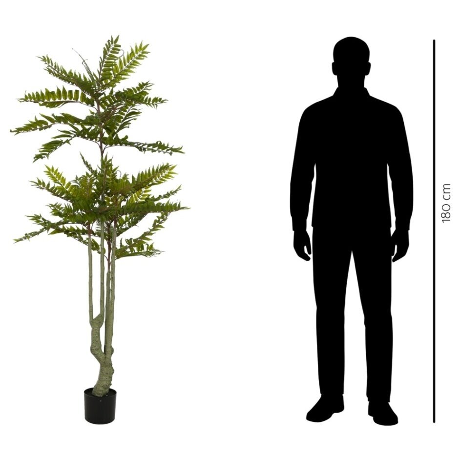 Dirbtinis raudonasis kedras 180 cm 3