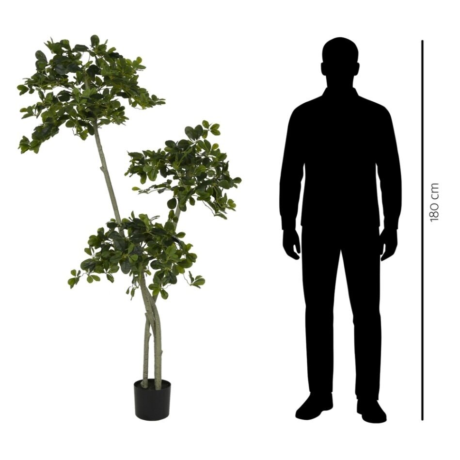 Dirbtinis daugiašakis alyvmedis 180 cm 2