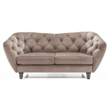 Dvivietė sofa Dvivietė sofa