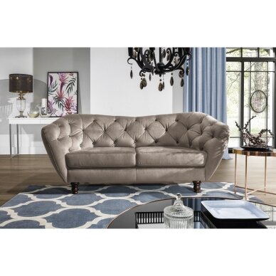 Dvivietė sofa 2