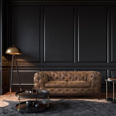 Dvivietė sofa "TERELL" 10 Dvivietė sofa "TERELL" 10